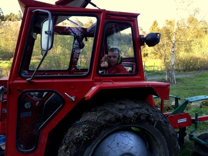 20160506_171825471_iOS