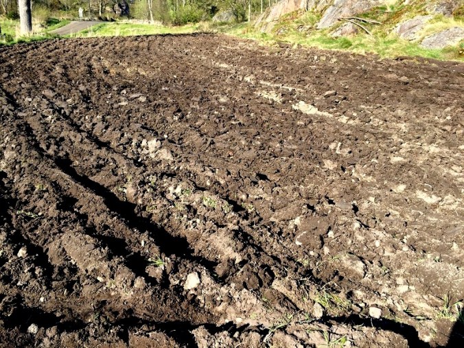 20160507_154056594_iOS