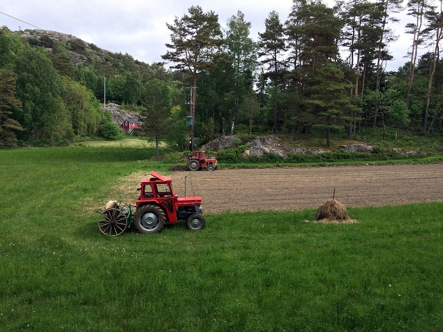 20160529_083126186_iOS