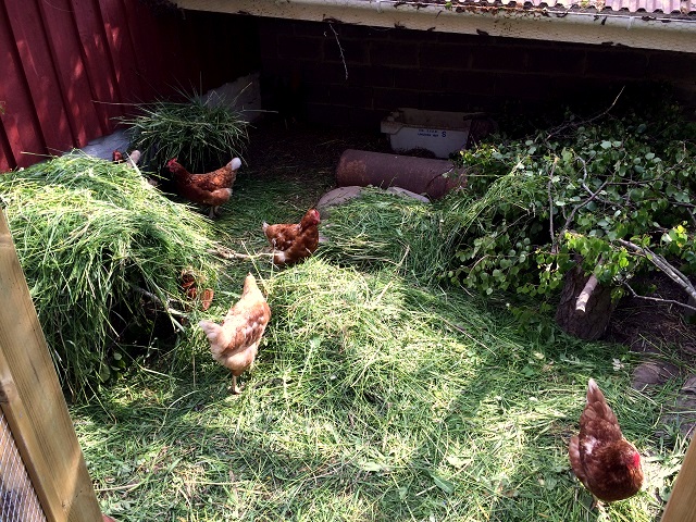 20160529_125654939_iOS