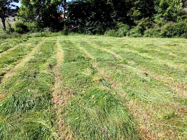 20160610_083515370_iOS