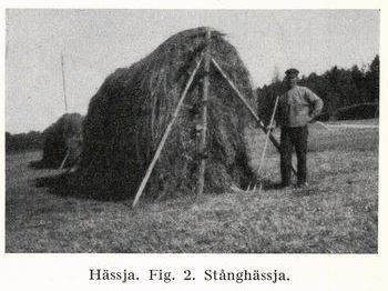 20160611 - hassja004