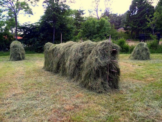 20160612_162911873_iOS