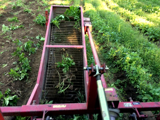 20160621_162919333_iOS