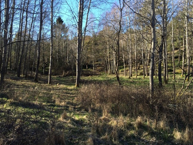 Sida_Ga_Tolleby_StickeMarja_030