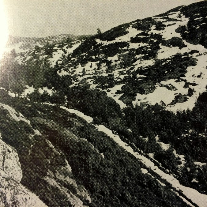 Sida_Ga_Tolleby_StickeMarja_032