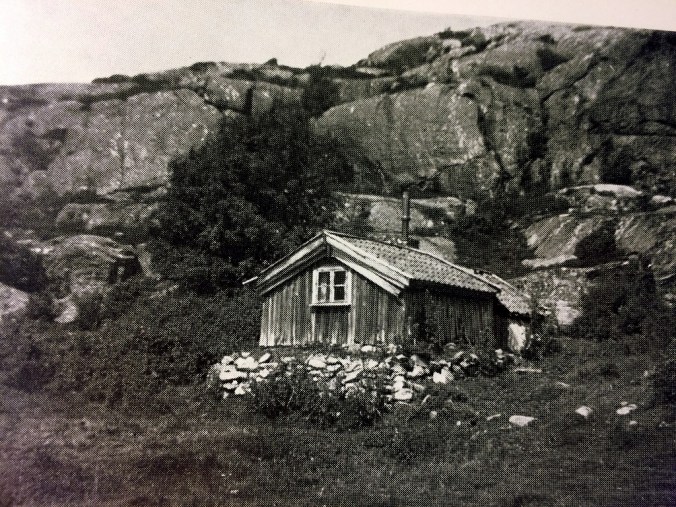 Sida_Ga_Tolleby_StickeMarja_034