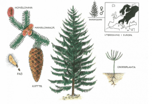 Sida_Recept_Granskott_002