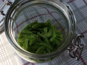 Sida_Recept_Granskott_014