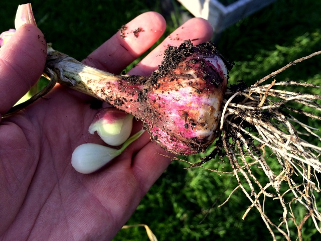 20160704_174413397_iOS