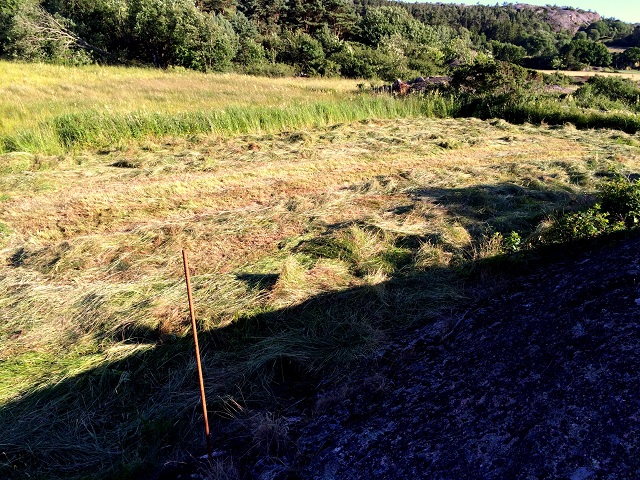 20160706_171654516_iOS