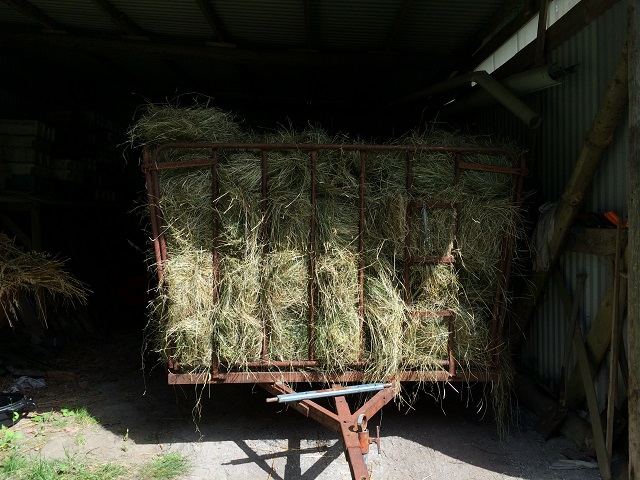 20160709_134332596_iOS