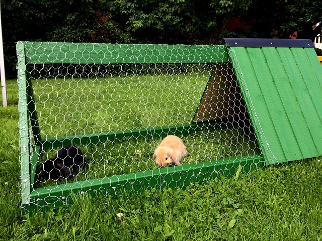 20160712_134904339_iOS