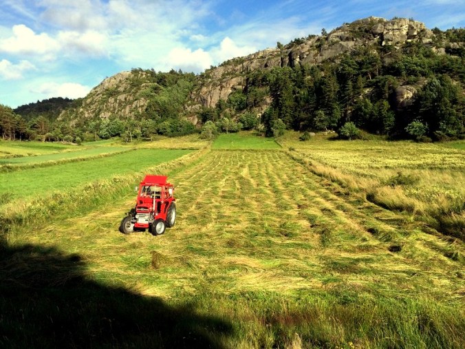 20160717_162410553_iOS