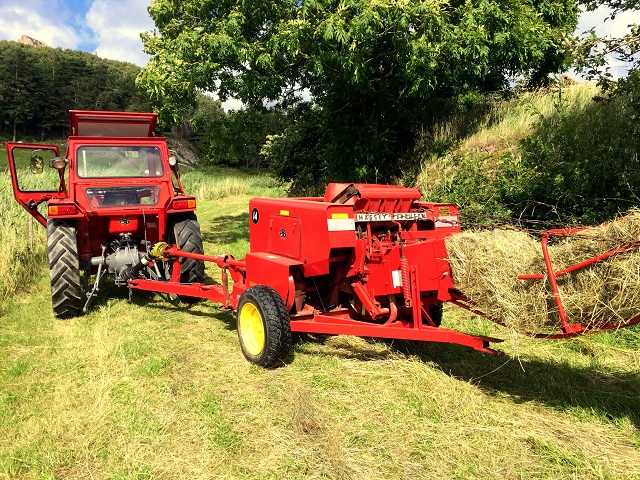 20160718_134111878_iOS