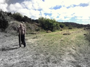 20160718_134114198_iOS