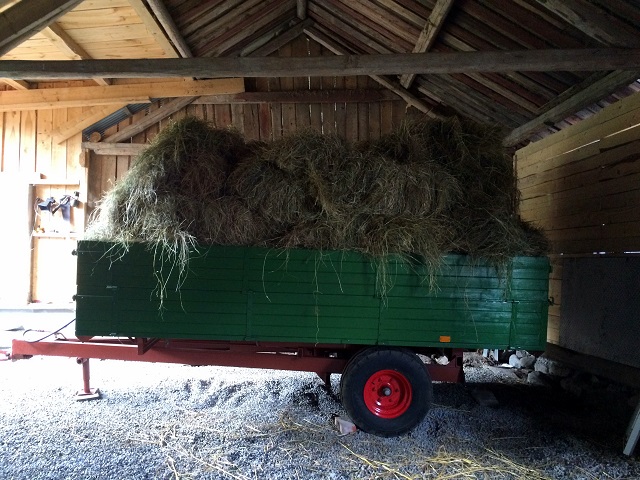 20160718_150101222_iOS