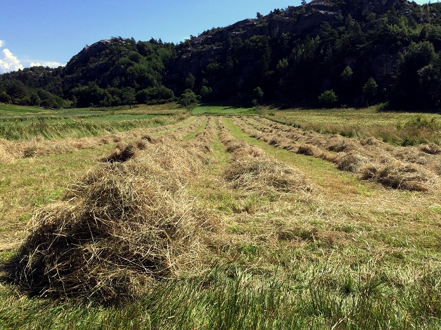 20160722_103330975_iOS