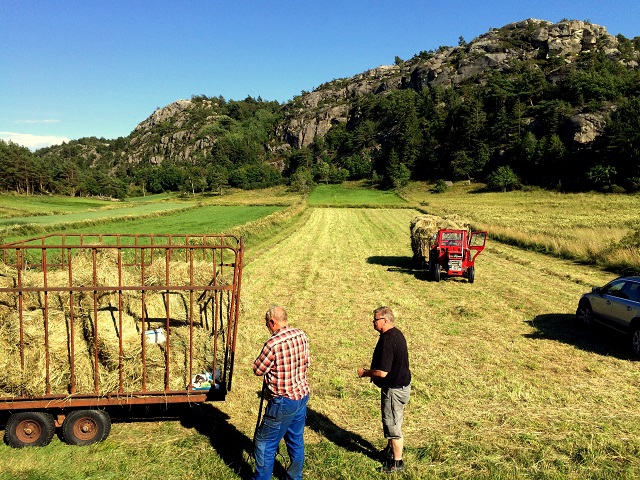 20160722_152641899_iOS