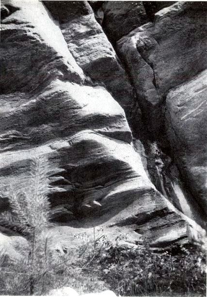 Sida_Dagar_pa_tjorn_002