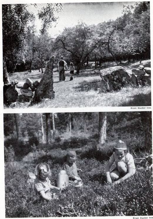 Sida_Dagar_pa_tjorn_003