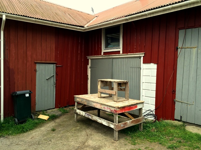 20160720_070831558_iOS