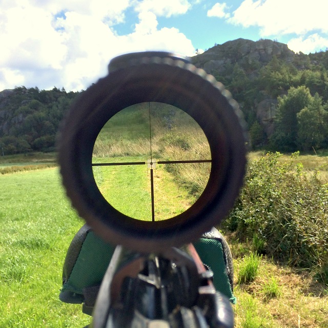 20160811_101831100_iOS