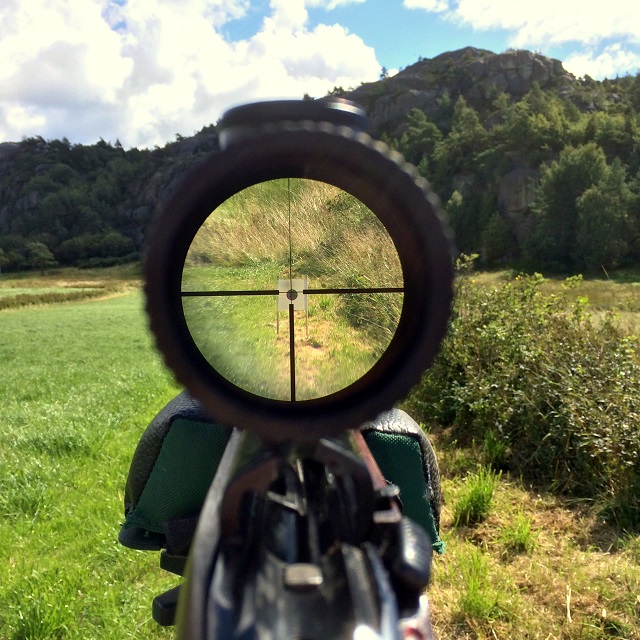 20160811_101841310_iOS