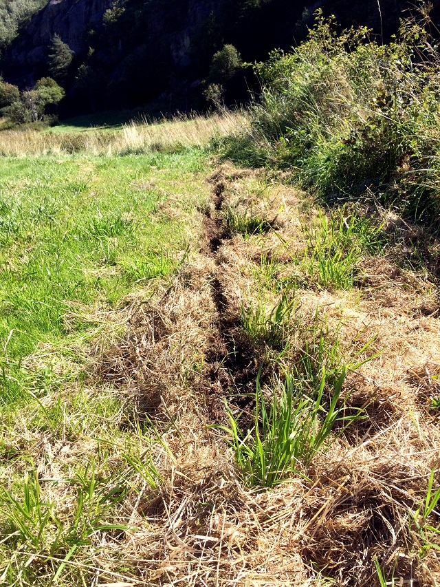 20160811_110045349_iOS