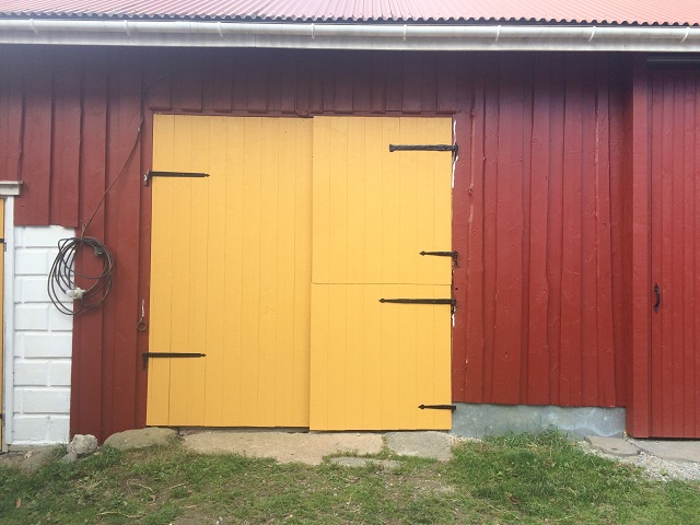 20160818_084127612_iOS