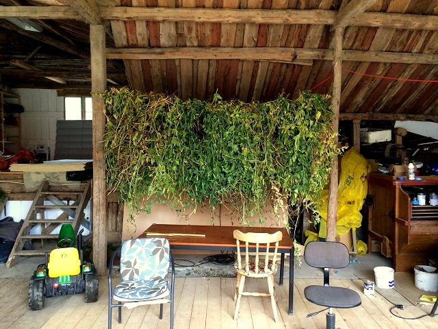 20160820_102455092_iOS