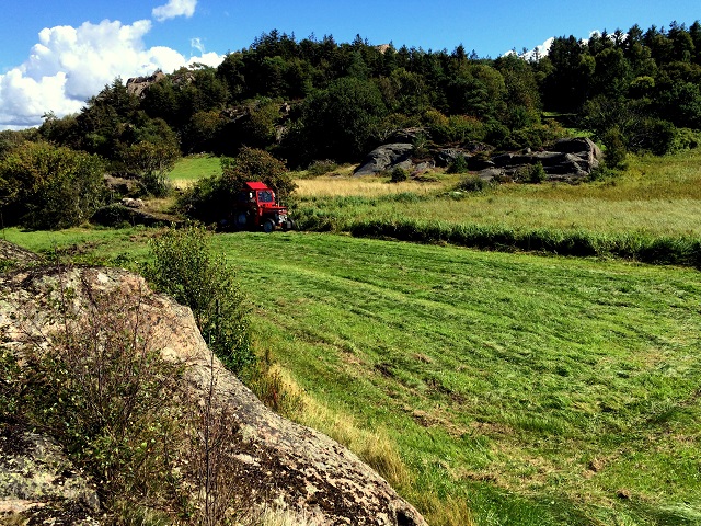 20160814_105236381_iOS