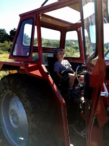 20160814_131206955_iOS