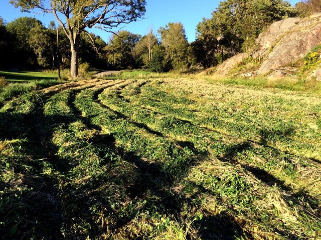 20160904_162602710_iOS