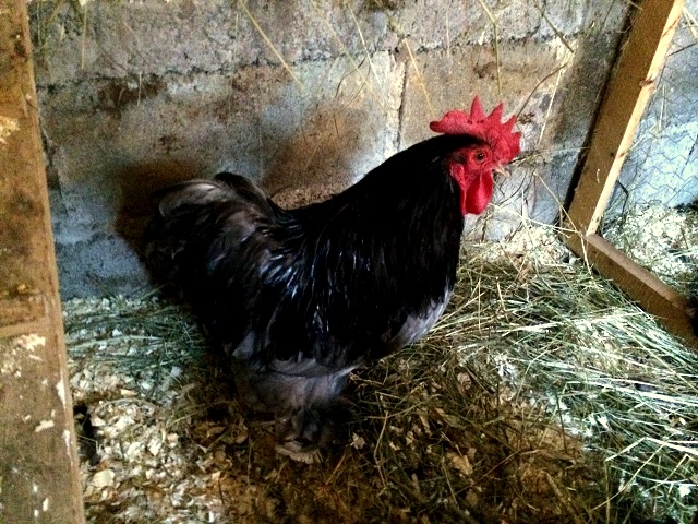 20160904_164519686_iOS