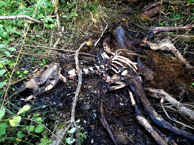 20160905_163946295_iOS