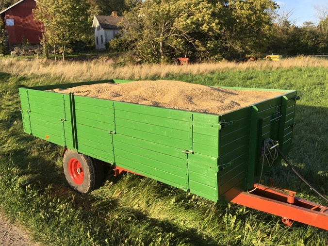 20160911_160526686_ios