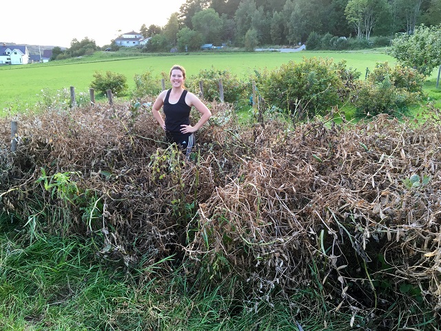 20160913_165110488_ios