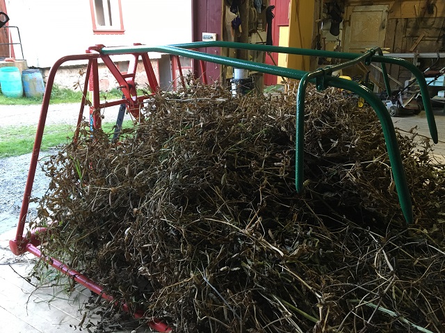 Hösvansen avställt på logen tillsvidare