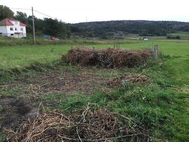 20160913_172722746_ios