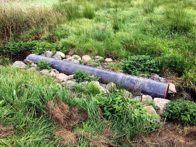 20160924_102053827_ios