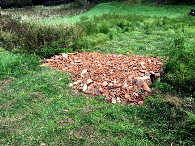 20160924_105708066_ios