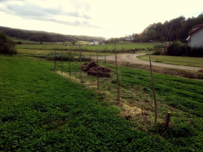 20160924_133910786_ios