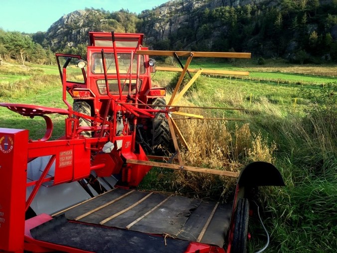 20160927_145958972_ios