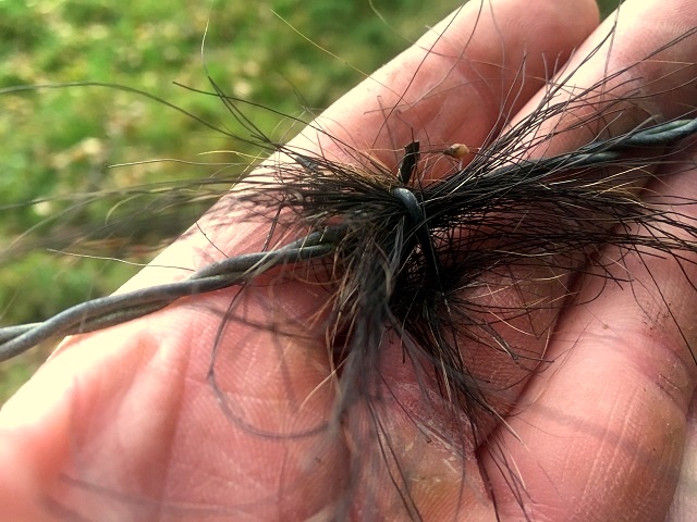 20161010_075616565_ios