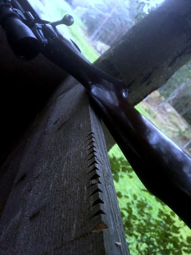 20161014_060624018_ios