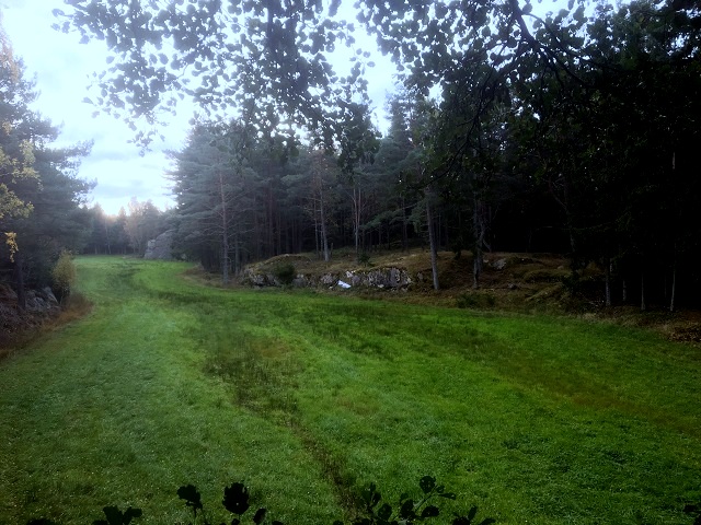 20161014_080541044_ios