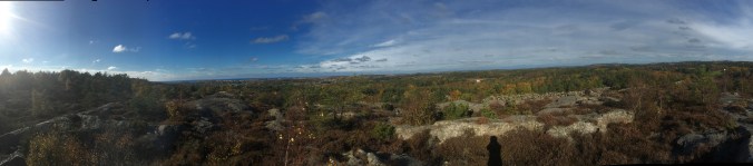 20161014_110720930_ios