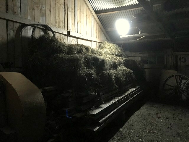 20161027_162939160_ios