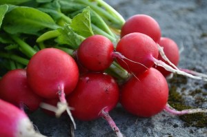 sida_bondepraktikan-september-radisa